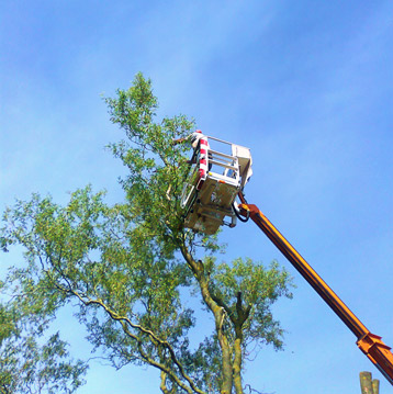 Gala Bau Tas in Bad Zwischenahn Gala Bau Tas in Bad Zwischenahn